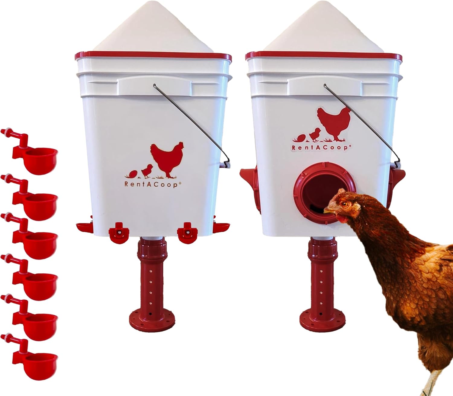 RentACoop 25lb Feeder and 5 Gallon Waterer Combo